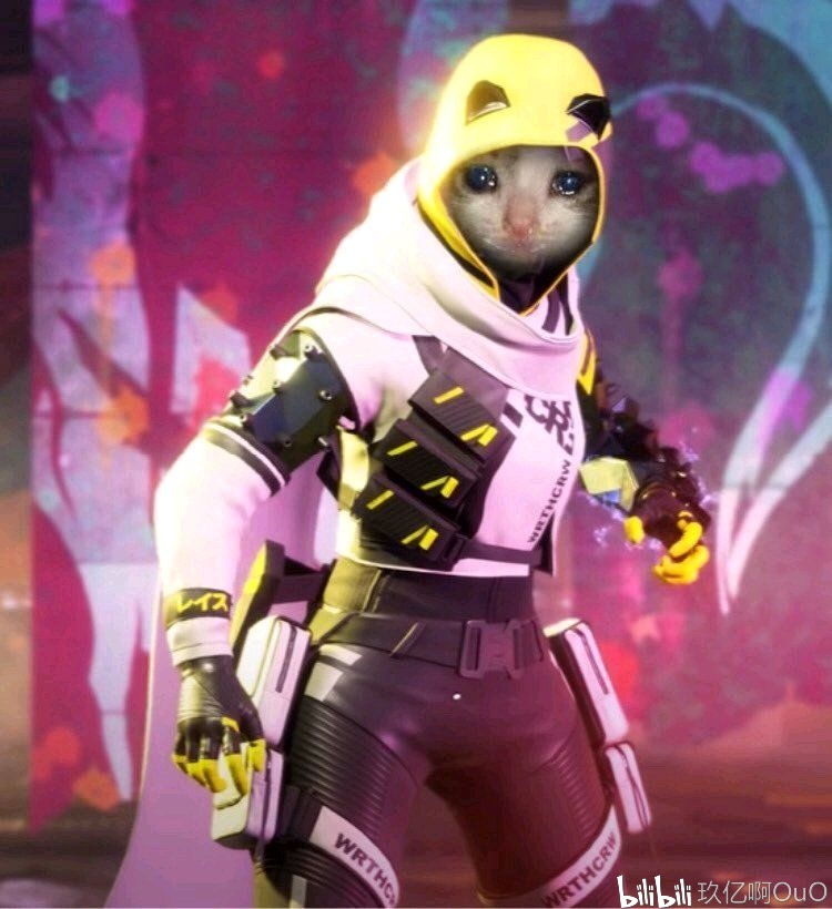 49 49